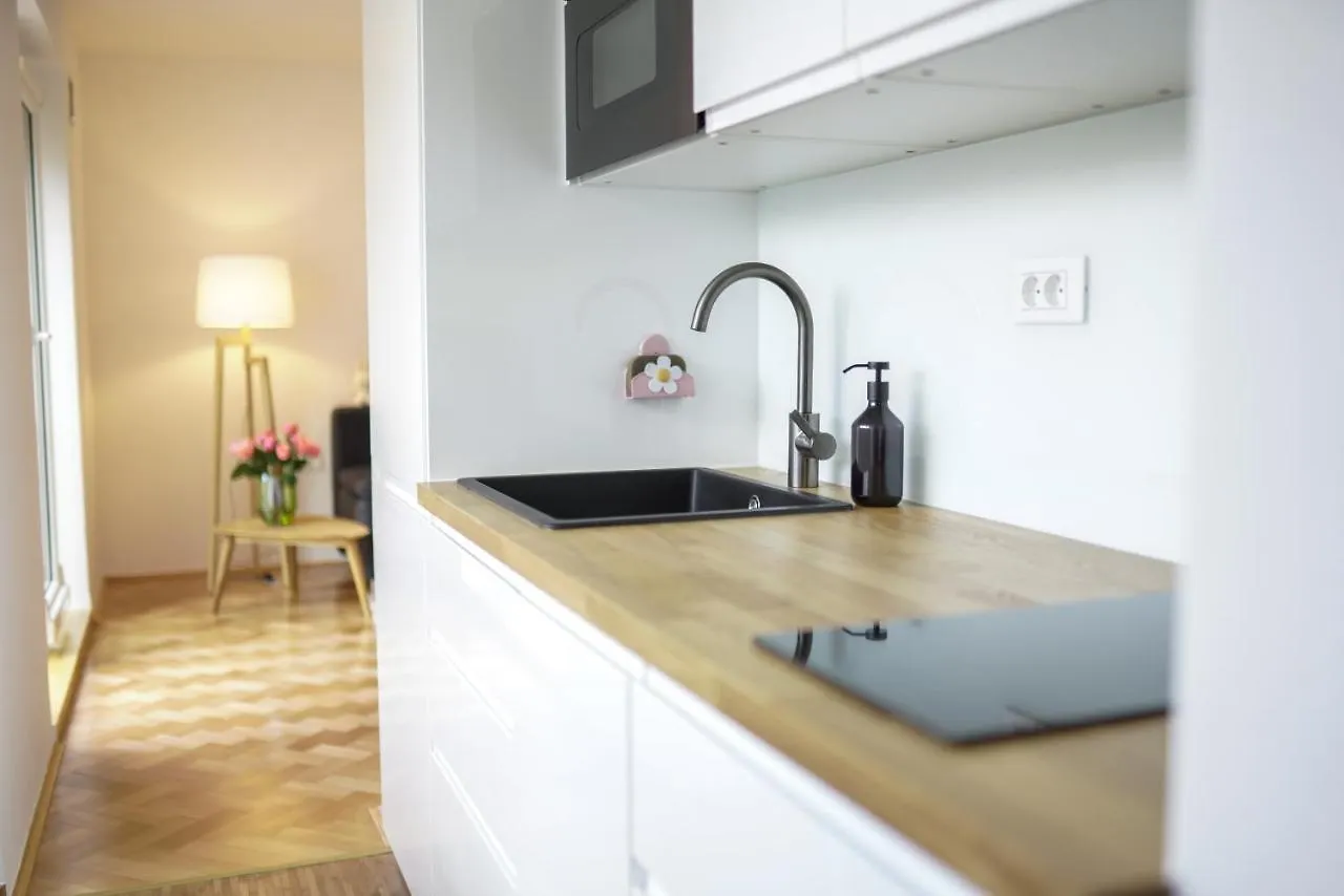 Bright Apartment Liubliana